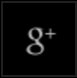 Google Plus Icon