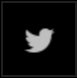 Twitter Icon